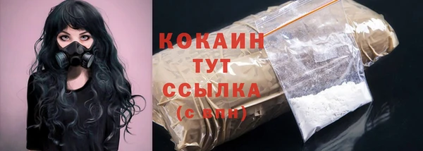 меф Арсеньев