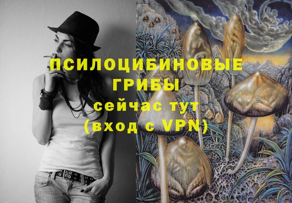 меф Арсеньев