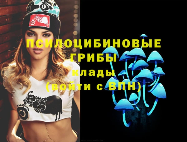 ПСИЛОЦИБИНОВЫЕ ГРИБЫ Армянск