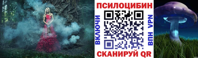 Псилоцибиновые грибы Cubensis  закладки  Солигалич 