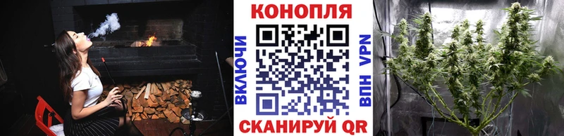МАРИХУАНА планчик  Солигалич 